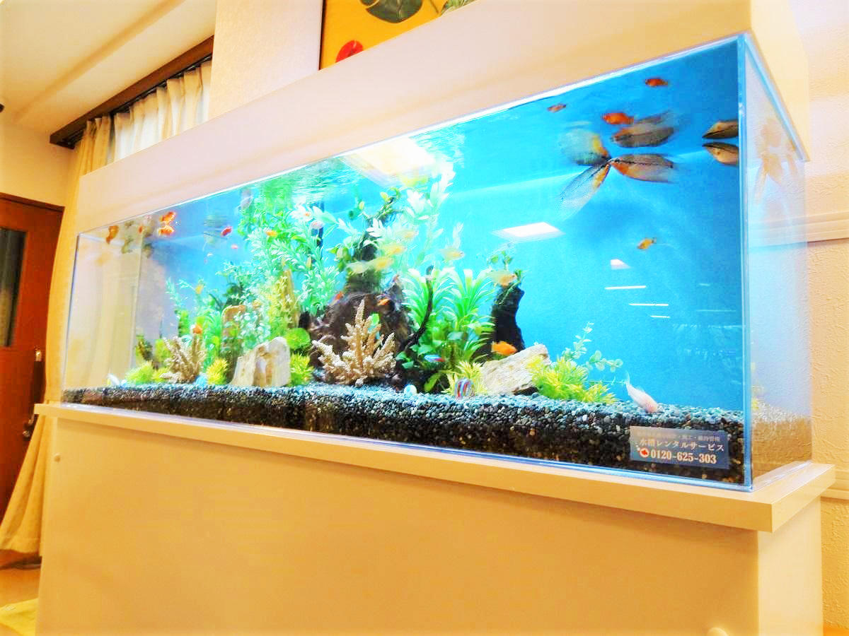 施設内の共用部に設置された大型の熱帯魚水槽。カラフルな魚と水草が泳ぐ。